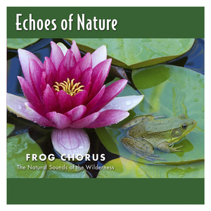 用手臂长的大黑牛互插无毛嫩
